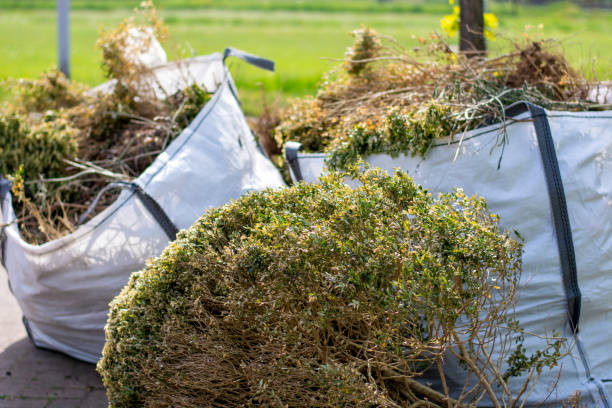 Best Electronics Removal Services  in Sloan, IA